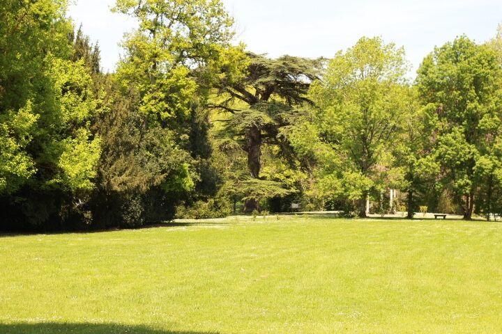 Chateau Castelrives ベシエール エクステリア 写真